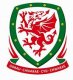 Wales club Wales club