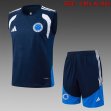 2026-2027 Cruzeiro team team navy soccer vest uniforms D26012
