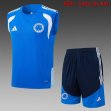 2026-2027 Cruzeiro team blue soccer vest uniforms D26006