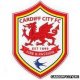 Cardiff City Club Cardiff City Club