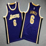 Youth Nike Los Angeles Lakers #6 LeBron James purple basketball jerseys -XD