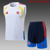 2026-2027 Colombia team white blue soccer vest uniforms D26023
